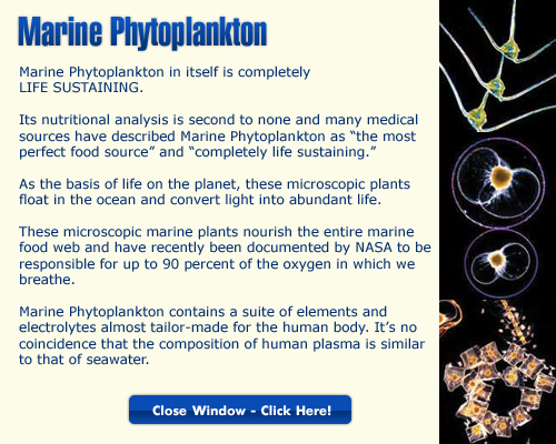 Frequensea Phytoplankton heath recovery