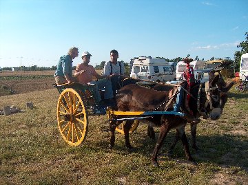Amigos dos Burros