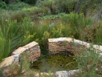 Land & Property in Portugal - Alentejo